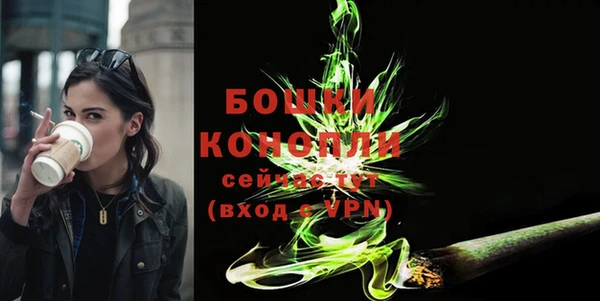 индика Балахна