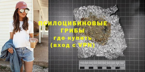 индика Балахна