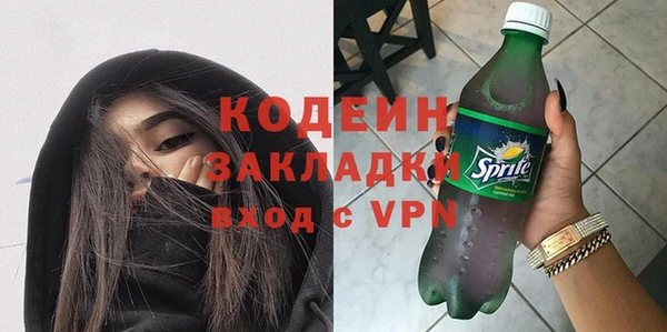 индика Балахна