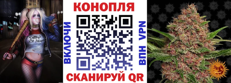 Купить  Дальнереченск  МАРИХУАНА семена 